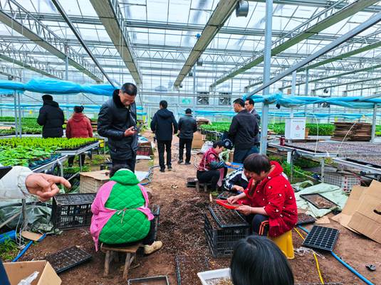 bb1e9df652c866c7116ee255764c6161