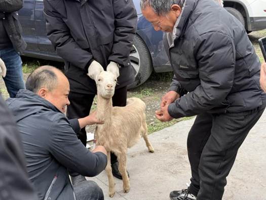 a8187ebec1eaa6e5091bc36703262474